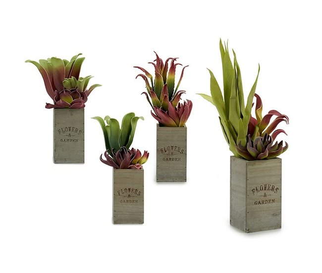 Planta Decorativa Flowers Garden Marron