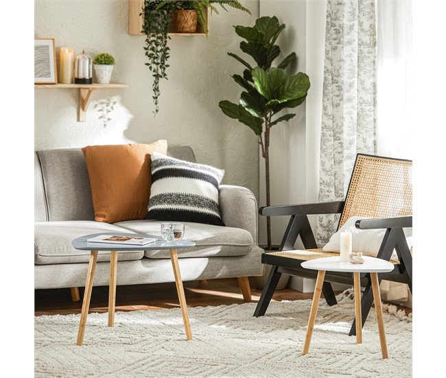 Set De 2 Mesas De Café Mesa Auxiliar FBT74-HG SoBuy 55x53 Gris
