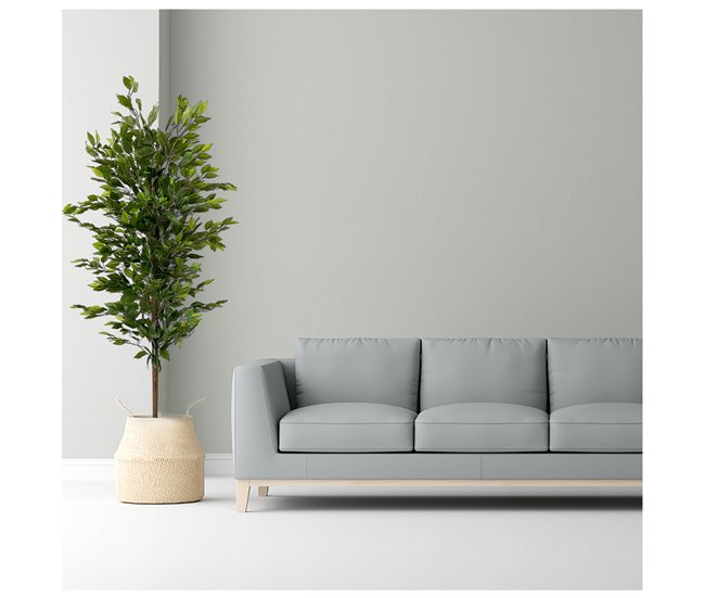 Acomoda Textil – Planta Artificial con Macetero (Ficus) Verde