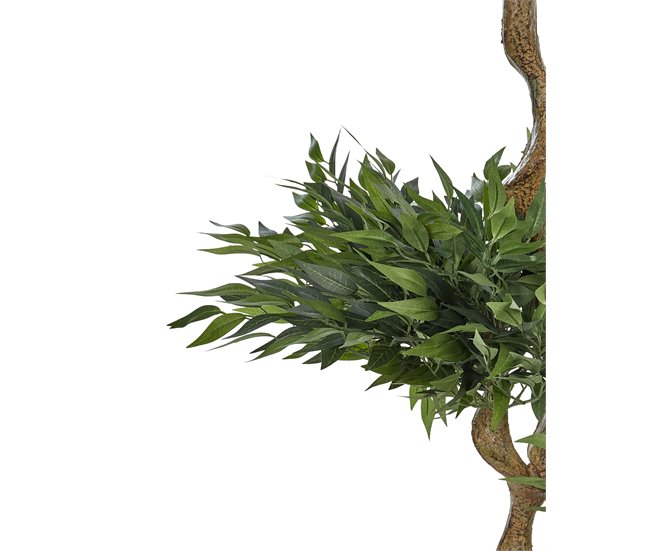 Beliani Planta artificial Árbol Rusco Verde