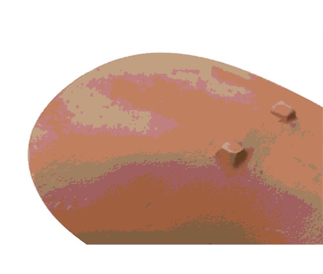 Centro Aluminio Adda Home Naranja