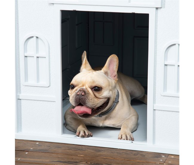 Caseta para Perros PP PawHut, mascotas - accesorios para perros Azul