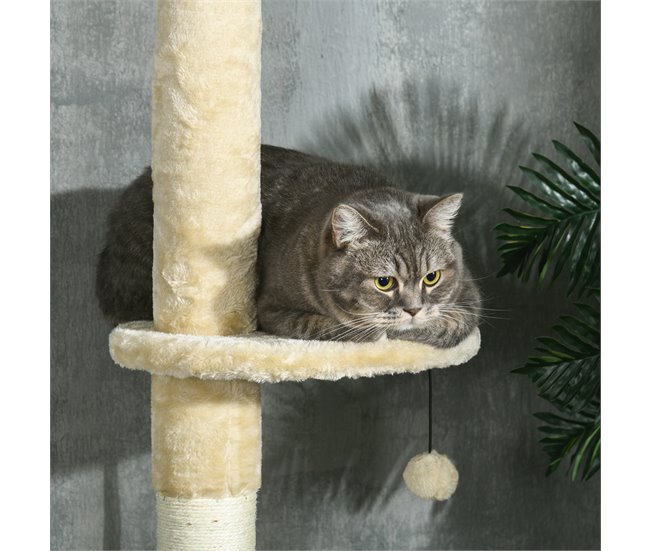 Árbol para Gatos Crudo