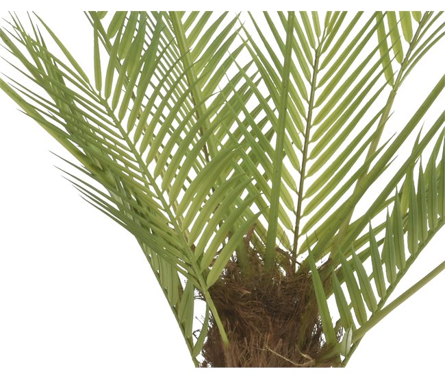 Planta artifical PALMERA marca EVERLANDS FLOWERS AND PLANTS Verde