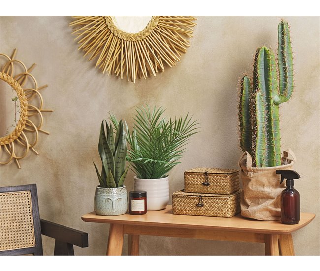 Beliani Planta artificial SNAKE PLANT Verde