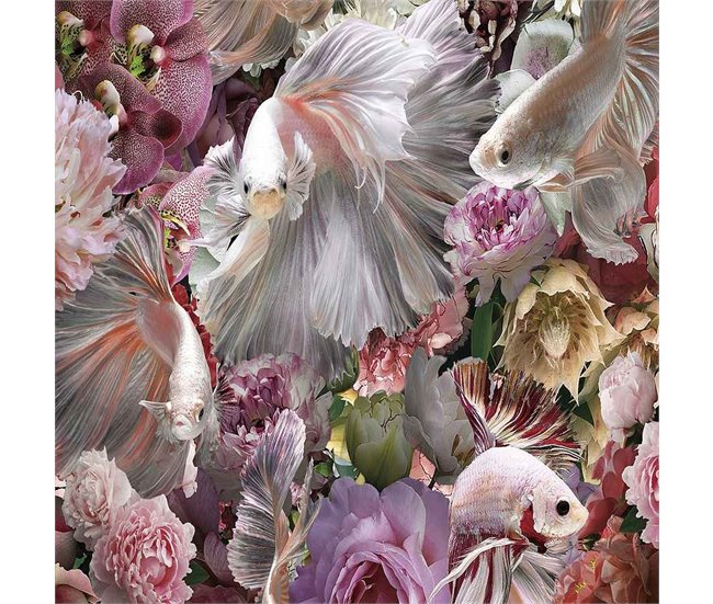 Fotografía Impresa Cristal Serie Peces Luchador Siam Multicolor