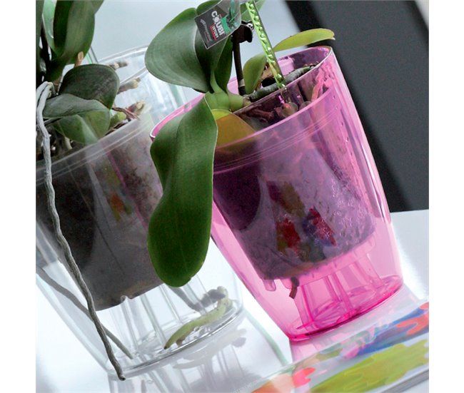 2x Macetero orquídea de plastico Coubi Orchid Transparente