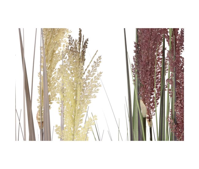 Planta Decorativa Lila