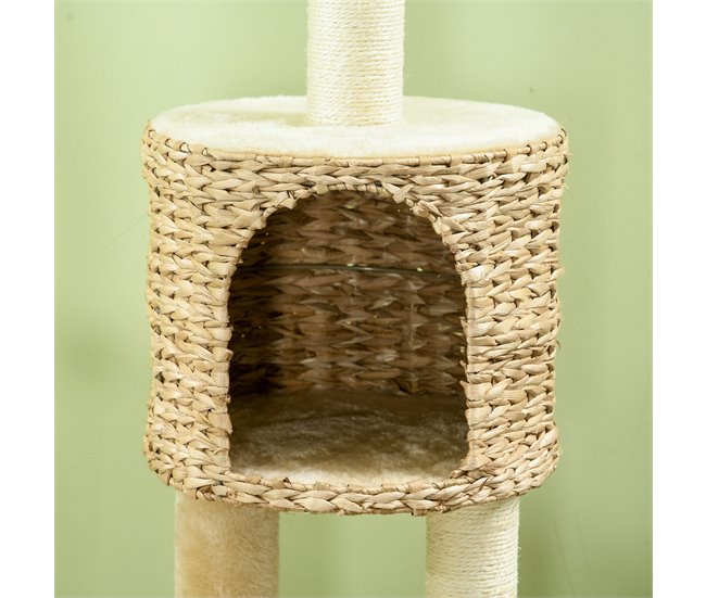 Árbol para Gatos Crudo