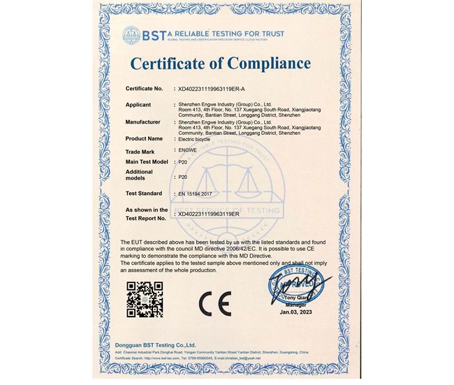 Bicicleta Eléctrica ENGWE P20 - Motor 250W Batería 36V9.6Ah Negro