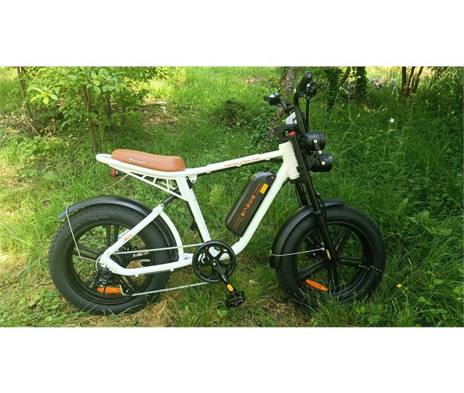 Bicicleta eléctrica ENGWE M20 13AH | Potencia 750W | Alcance 60KM Blanco