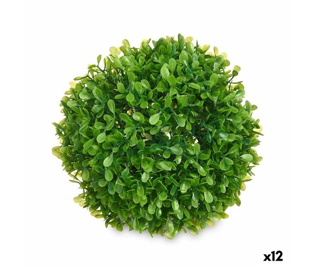 Planta Decorativa Verde