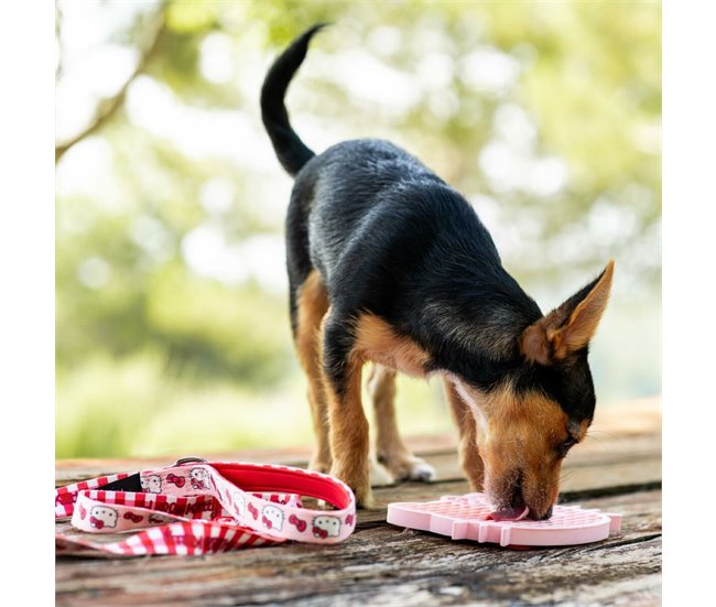 Comedero para Perro Rosa