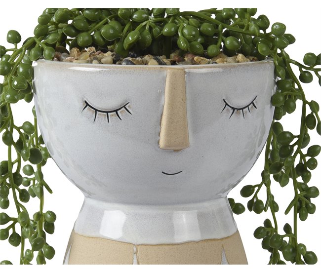 Planta BRISEIDA marca EVERLANDS Verde