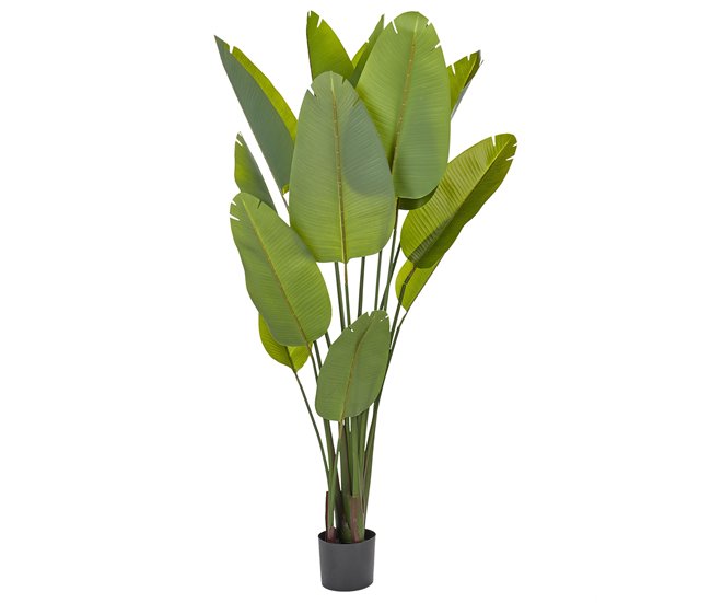 Beliani Planta artificial ÁRBOL BANANA Verde