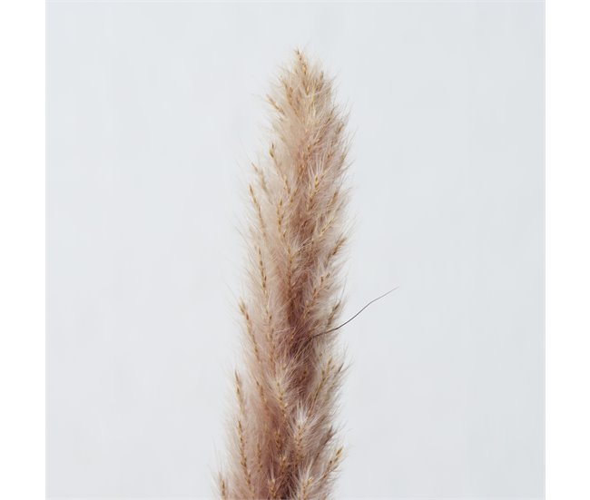 Ramillete floral PAMPA natural 85cm marca BOLTZE  Natural