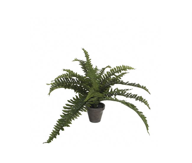 Planta artificial HELECHO marca MYCA Verde