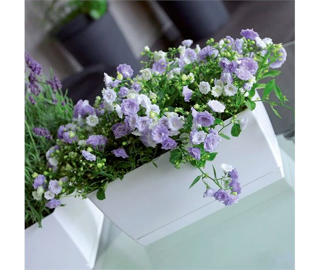 2x Jardinera de plastico Coubi Case P Blanco
