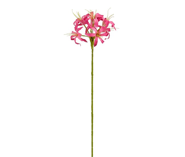 Planta floral NERINE 59cm marca CONFORAMA Fucsia