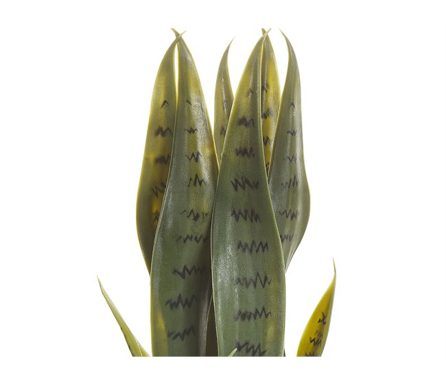 Beliani Planta artificial SNAKE PLANT Verde