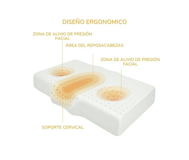 Almohada Antiarrugas ERGO con Funda de Almohada de seda Blanco