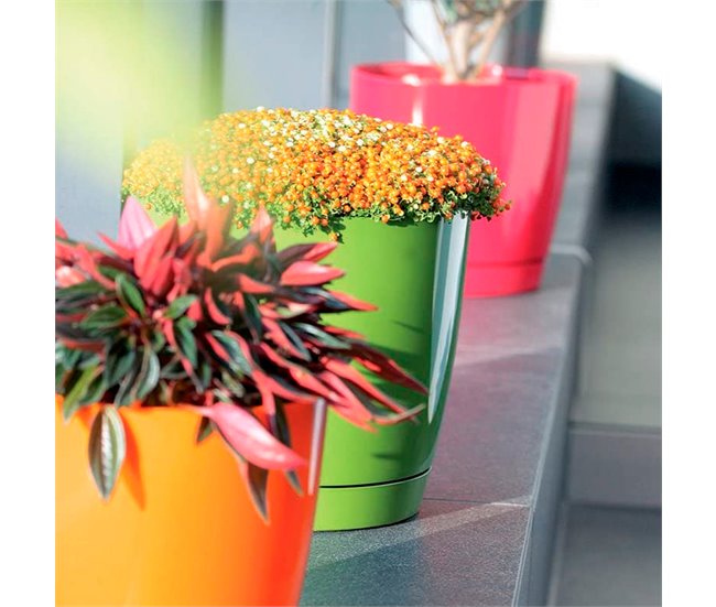 2x Maceta redonda de plastico Coubi Round P Grafito