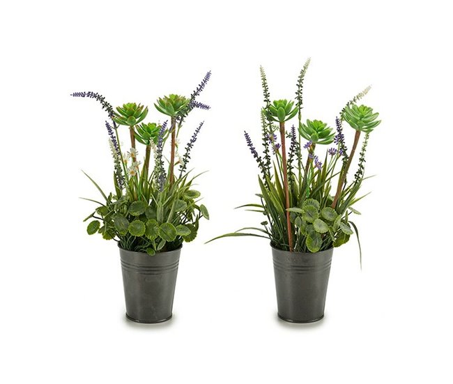 Planta Decorativa Verde