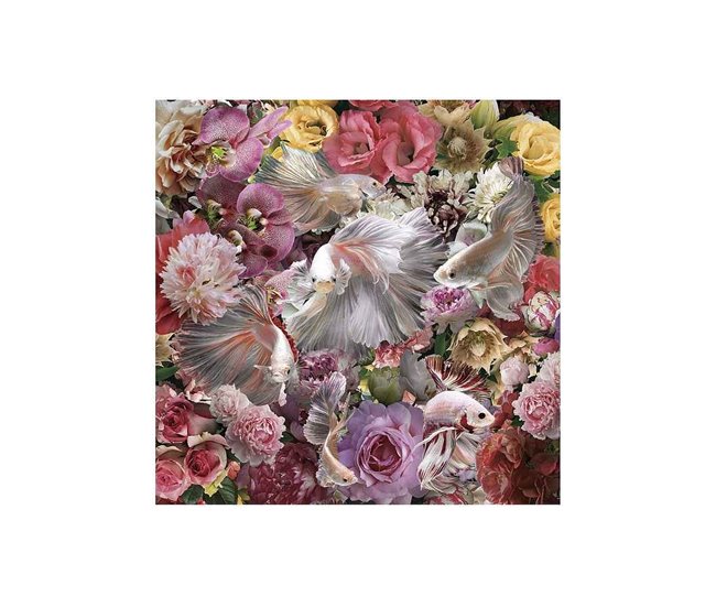 Fotografía Impresa Cristal Serie Peces Luchador Siam Multicolor