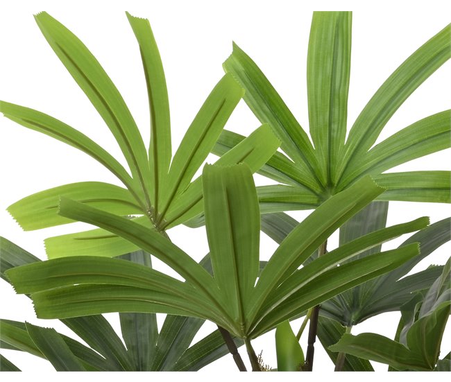 Planta artificial RHAPIS marca EVERLANDS FLOWERS AND PLANTS Verde