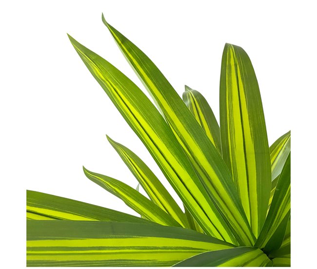 Acomoda Textil – Planta Artificial con Macetero. (Dracena) Verde