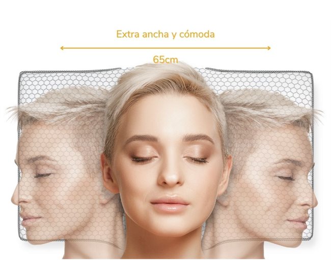 Almohada Antiarrugas ERGO con Funda de Almohada de seda Blanco