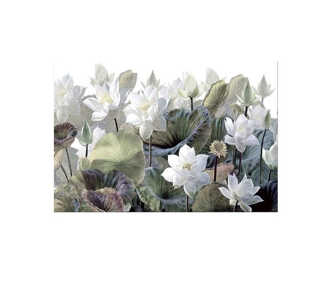 Fotografía Impresa Cristal Serie Nenufares Verde