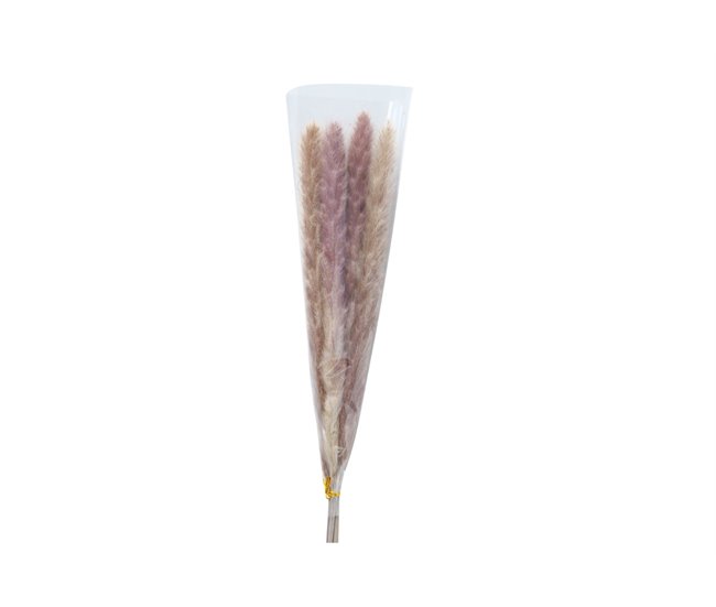 Ramillete floral PAMPA natural 85cm marca BOLTZE  Natural