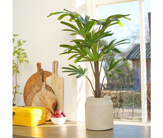 Planta artificial RHAPIS marca EVERLANDS FLOWERS AND PLANTS Verde