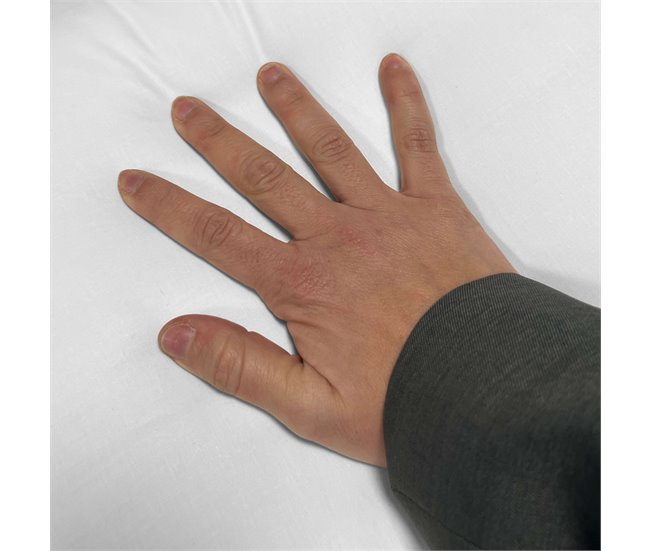 Almohada Segura Moshy de Fibra Alta 75x35 Blanco
