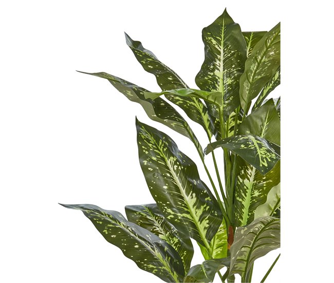 Beliani Planta artificial DIEFFENBACHIA Verde