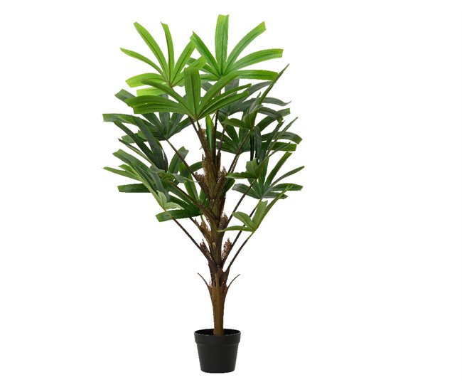 Planta artificial RHAPIS marca EVERLANDS FLOWERS AND PLANTS Verde