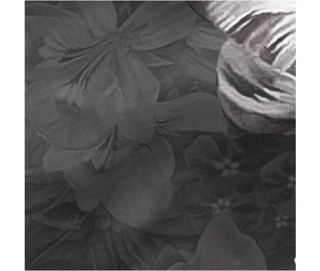 Funda de almohada Onyx Multicolor