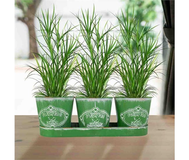 3 Cubos de metal y Bandeja Verde