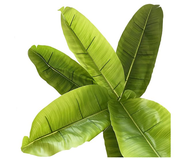 Acomoda Textil – Planta Artificial con Macetero. (Platanero) Verde