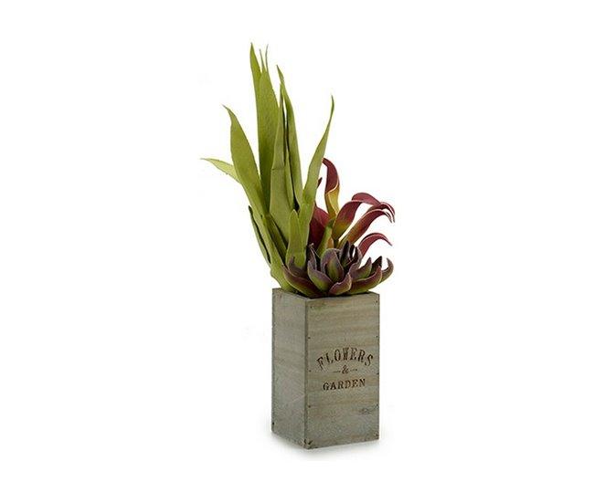 Planta Decorativa Flowers Garden Marron