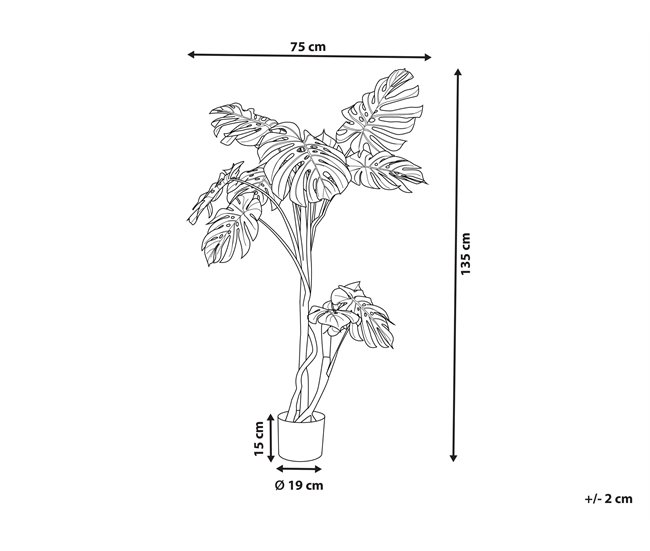 Beliani Planta artificial PLANTA MONSTERA Verde