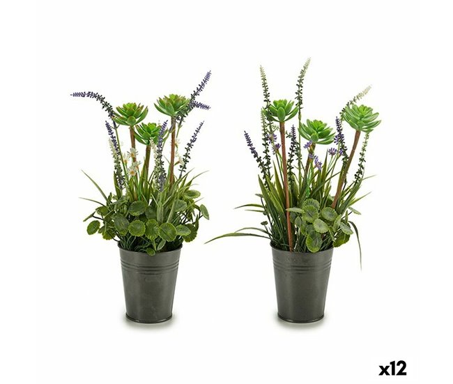 Planta Decorativa Verde
