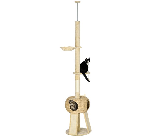 Árbol para Gatos Crudo
