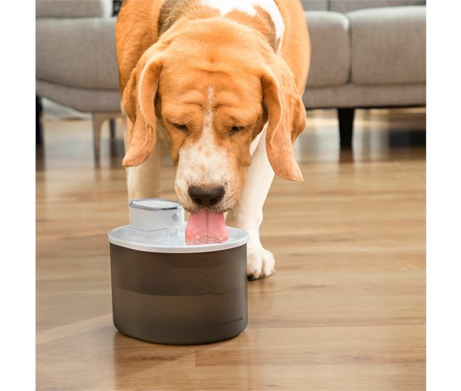 Fuente para Gatos Recargable con Sensor Blanco