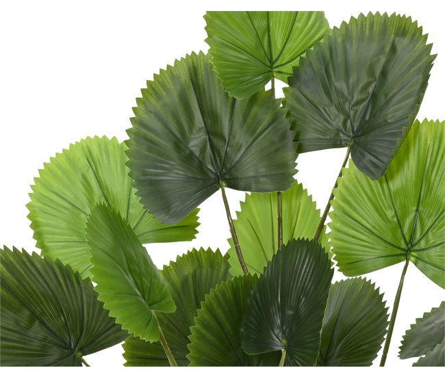 Planta artificial LICUALA marca EVERLANDS FLOWERS AND PLANTS Verde
