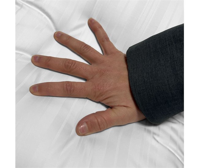 Almohada Élite con Funda Fibra Ergotex 80x35 Blanco