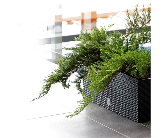 2 unidades de jardinera rectangular 17 litros Antracita