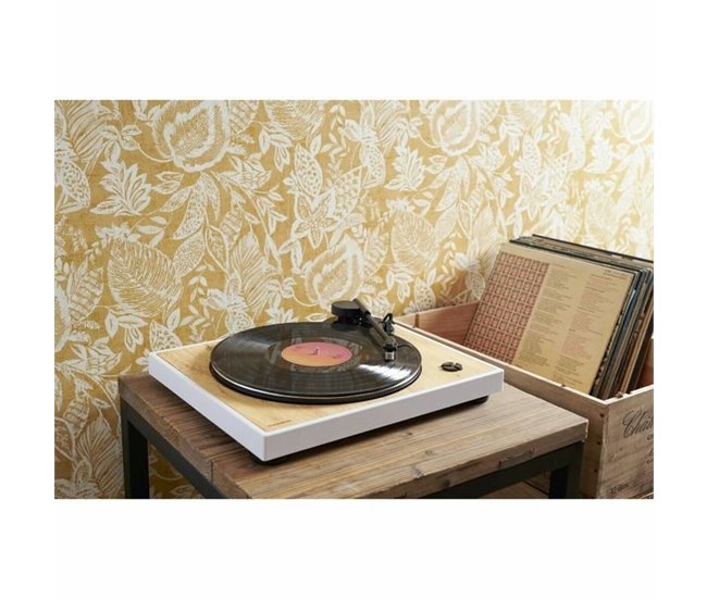 Tocadiscos TT301 Multicolor