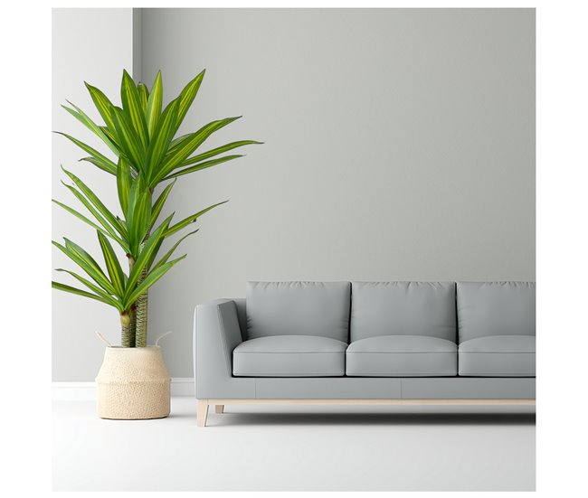 Acomoda Textil – Planta Artificial con Macetero. (Dracena) Verde